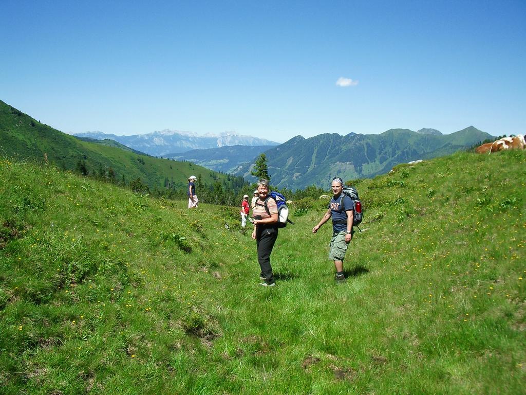 Apartamento Der Perweinhof Donnersbachwald Exterior foto
