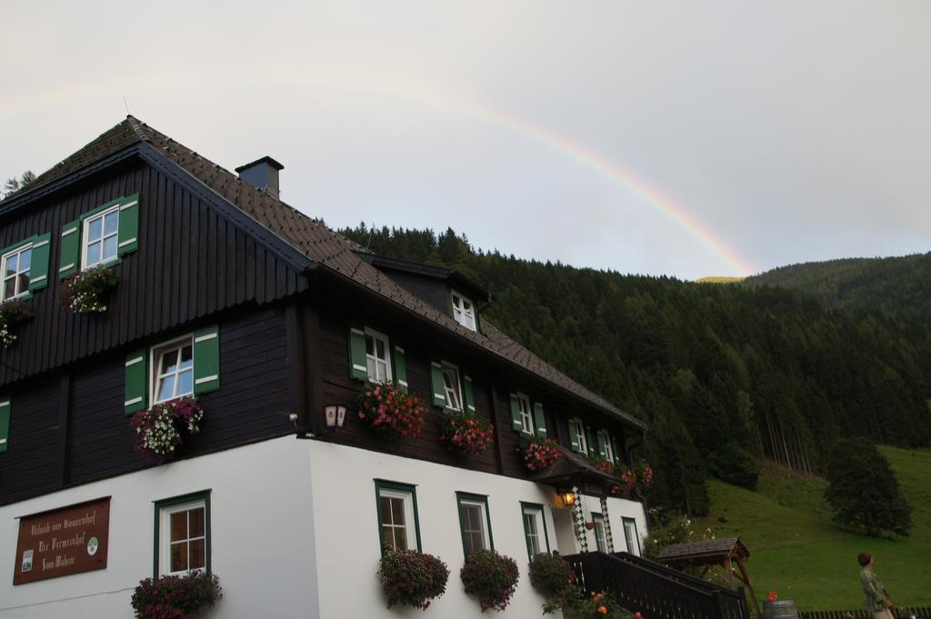 Apartamento Der Perweinhof Donnersbachwald Exterior foto
