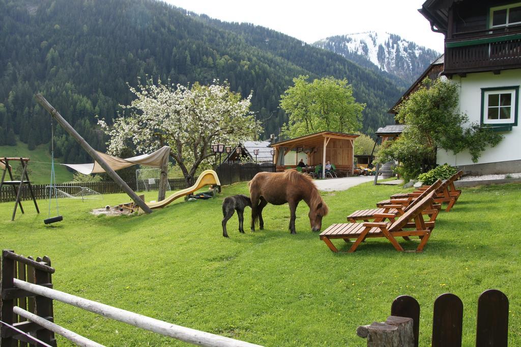 Apartamento Der Perweinhof Donnersbachwald Exterior foto