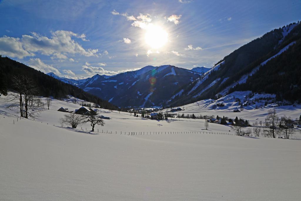 Apartamento Der Perweinhof Donnersbachwald Exterior foto