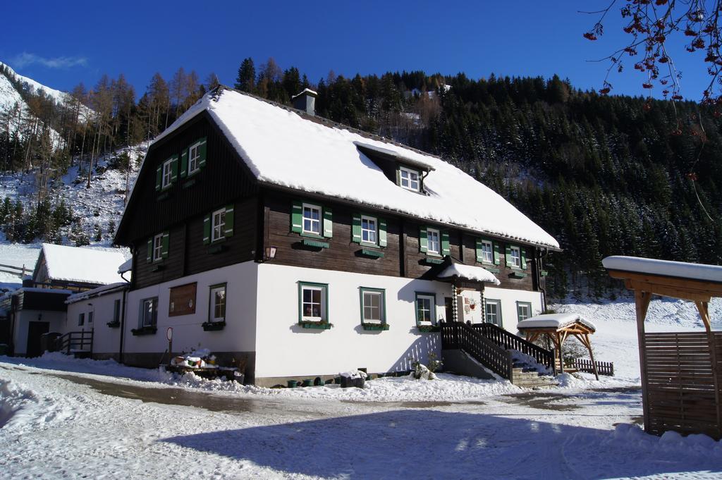 Apartamento Der Perweinhof Donnersbachwald Exterior foto
