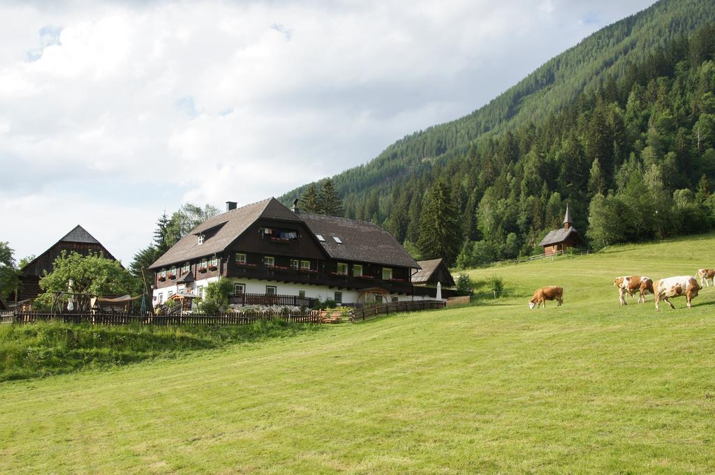 Apartamento Der Perweinhof Donnersbachwald Exterior foto