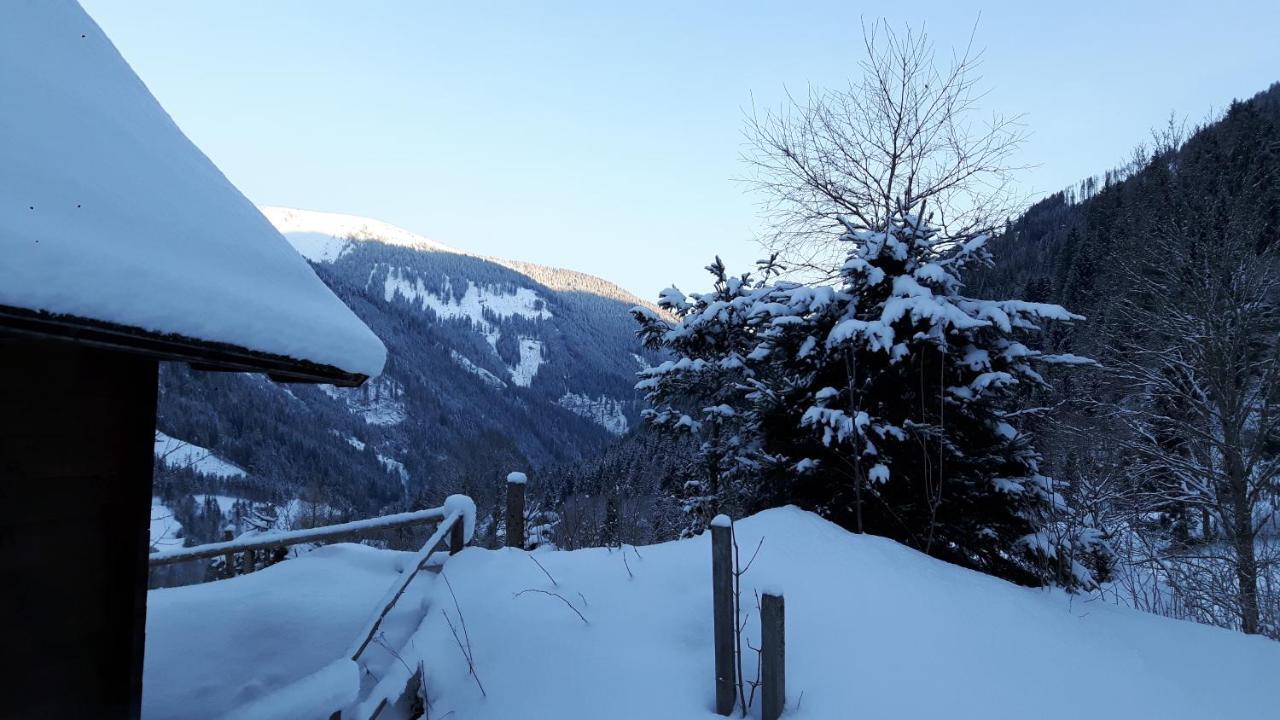 Apartamento Der Perweinhof Donnersbachwald Exterior foto