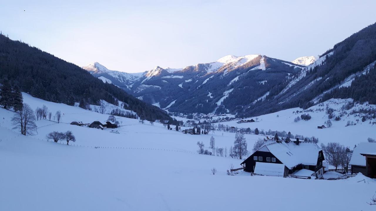 Apartamento Der Perweinhof Donnersbachwald Exterior foto